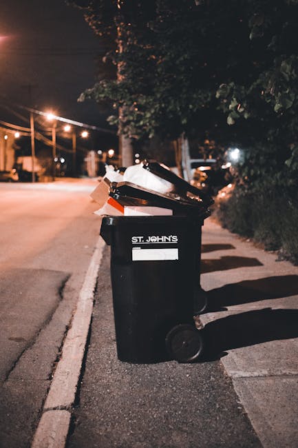 https://wastedisposallewisham.co.uk/blog/avoid-common-mistakes-when-booking-lewisham-rubbish-services/