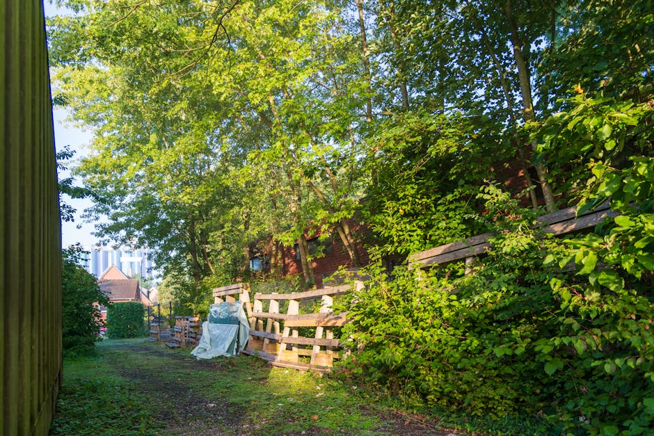 A narrow outdoor pathway lined with a weathered wooden fence on the right side and a green, mossy wooden fence on the left. The ground is uneven, covered with grass and patches of dirt. Tall, lush deciduous trees with green foliage form a dense canopy overhead, casting dappled sunlight onto the scene. In the background, residential buildings with red brick walls and tiled roofs are visible, partially obscured by the trees. Near the middle of the pathway, there is a collection of discarded wooden pallets, some leaning against the fence, along with a white tarpaulin partially draped over additional waste or debris. The environment appears to be an informal storage or dumping area, possibly related to private waste disposal or rubbish collection services. The overall atmosphere is peaceful, with natural light illuminating the scene and highlighting the vibrant greenery surrounding the site, relevant to a context of garden waste or household rubbish management.