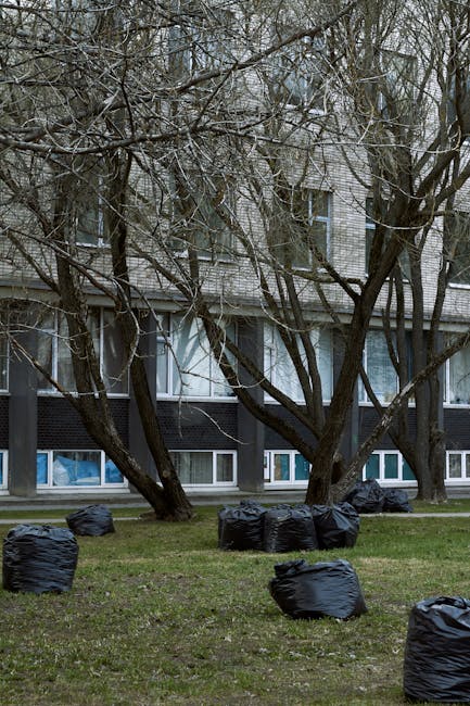 The image shows a grassy area in front of a residential building with multiple stories and large windows, some of which have sheer curtains. Several leafless trees with dark, textured branches extend across the foreground and partially obscure the building. On the grass, numerous black garbage bags, appearing to be filled with waste or garden debris, are scattered and loosely grouped together. The bags are made of plastic with a slightly shiny finish and vary in shape, some leaning or stacked against each other. The environment appears overcast with soft, diffuse lighting, and the scene suggests a setting where outdoor waste collection or disposal is taking place, possibly involving private rubbish removal services such as Waste Disposal Lewisham. The overall scene is tidy, with no visible loose rubbish outside the bags, indicating an organized approach to waste management in a residential area.