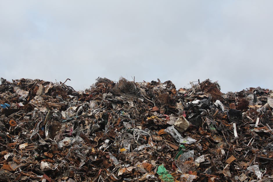A large open waste disposal site showing a vast expanse of mixed rubbish including discarded tires, plastic bottles, paper waste, and various debris scattered across the ground. The waste appears haphazardly piled, with some tires partially buried amid other refuse. In the background, a dense green hillside with trees and foliage extends toward a cloudy sky, contrasting sharply with the disturbed, polluted foreground. The overall environment suggests an unmanaged or unregulated dumping area, highlighting the importance of proper rubbish collection and disposal services like those provided by Waste Disposal Lewisham. The scene emphasizes the impact of illegal or improper waste dumping, which can serve as a context for the discussion on fines and regulations in Lewisham for illegal rubbish dumping, along with the need for alternative waste management methods such as private clearance or on-site removal.